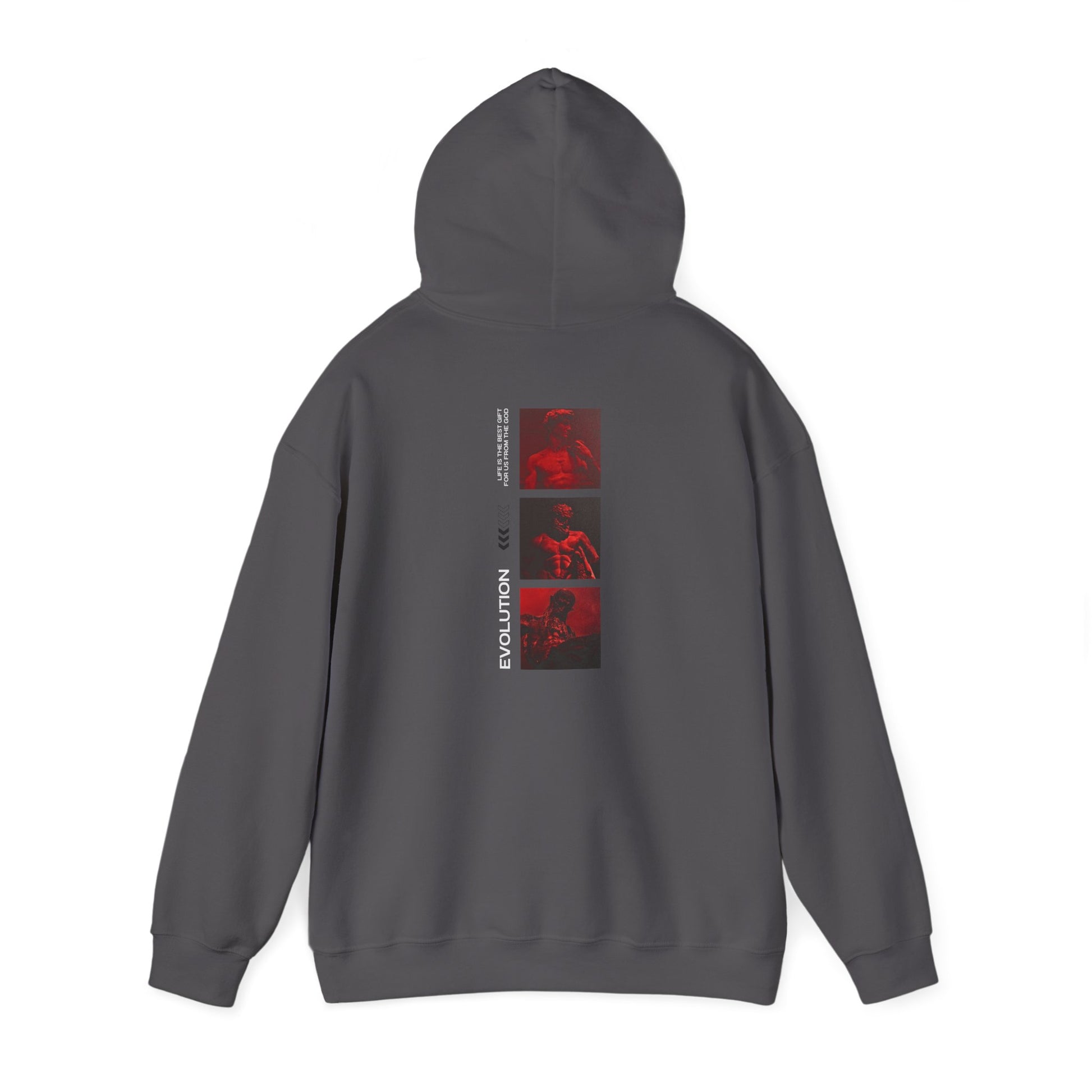 Unisex Evolution Graphic Hoodie