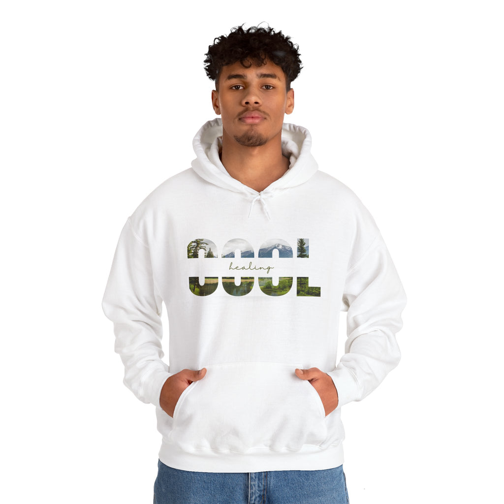 Cool Healing Unisex Heavy Blend Hooded Sweatshirt